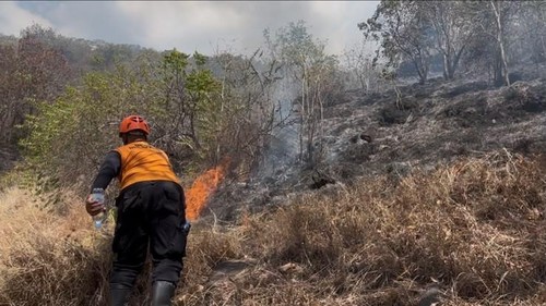 Petugas berjibaku melakukan pemadaman api, Sabtu (18/7/2026). Foto : BPBD Buleleng