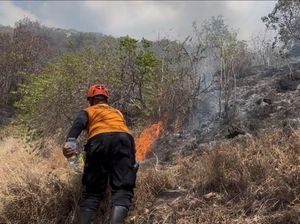 Damkar Buleleng Kaji Pengadaan Drone Pemadam Usai Kebakaran Hutan Pemuteran