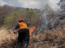 Damkar Buleleng Kaji Pengadaan Drone Pemadam Usai Kebakaran Hutan Pemuteran