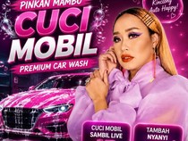 Gebrakan Baru Pinkan Mambo, Buka Usaha Cuci Mobil Premium