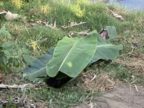 Remaja Ponorogo Tewas Tenggelam saat Mandi di Sungai Usai Mancing