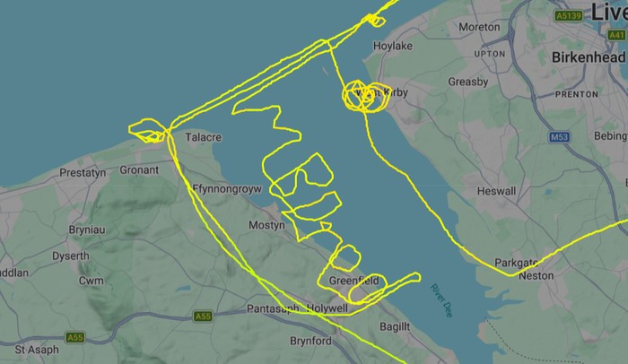 (Tangkapan Layar Flightradar24)