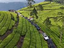 Penggila Garuk Tanah Toyota Land Cruiser Ngumpul!