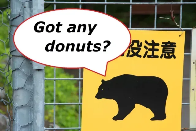 Unik tapi Bikin Waswas! Beruang di Jepang Ketagihan Donat dan Gula Beruang di Jepang Ketagihan Donat dan Gula
