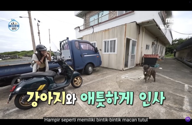 Acara televisi Home Alone memperlihatkan keseharian Yuri di luar kesibukan akting. Ia bepergian mengendarai motor skuter di jalanan Pulau Jeju yang sepi, kerap mendatangi tempat penampungan anjing, dan makan bersama pemilik restoran lokal yang hangat seperti keluarga. Foto: dok. MBC