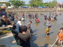 Warga Klaten Tumplek Blek Berebut Ikan di Kolam Desa Gemblegan
