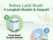 Infografis: 4 Cara Ampuh Usir Lalat Buah dari Tempat Sampah