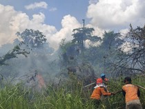 17 Kebakaran Hanguskan 26 Hektare Lahan di Lamandau hingga Juli 2026