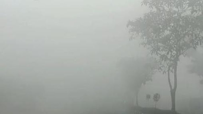 Kotawaringin Timur diselimuti kabut asap karhutla.