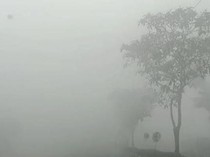 Karhutla Ancam Kesehatan, Bupati Kotim Minta Stok Obat Jangan Sampai Kritis