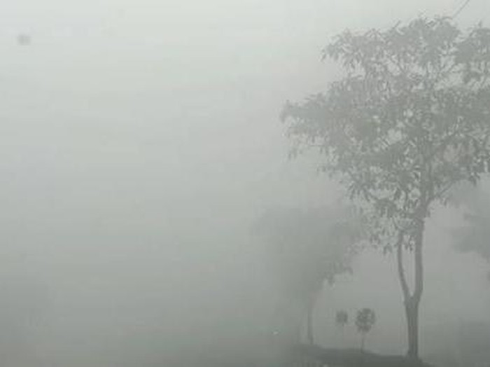 Kotawaringin Timur diselimuti kabut asap karhutla.