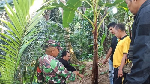 Petugas melakukan olah TKP penemuan bayi laki-laki di bawah pohon pisang di Lombok Barat, Minggu (19/7/2026). (Foto : Polresta Mataram).