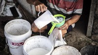Kebutuhan susu nasional saat ini mencapai sekitar 4,5 hingga 5 juta ton per tahun. Namun, sebagian besar kebutuhan tersebut masih dipenuhi melalui impor, sehingga penguatan sektor hulu peternakan sapi perah menjadi salah satu strategi untuk mengurangi ketergantungan dari luar negeri. ANTARA FOTO/Aprillio Akbar