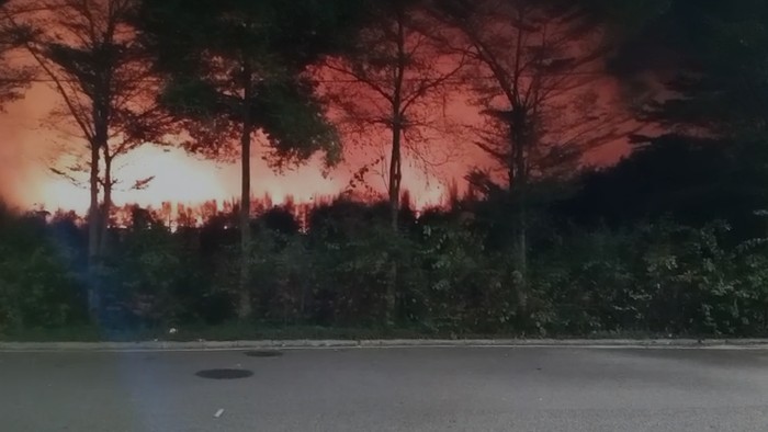 TPA Benowo kebakaran.