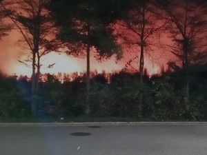 Damkar Surabaya Klarifikasi Kebakaran di TPA Benowo Bukan karena Flare