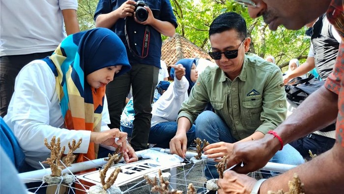Banyuwangi Coral Adoption 2026