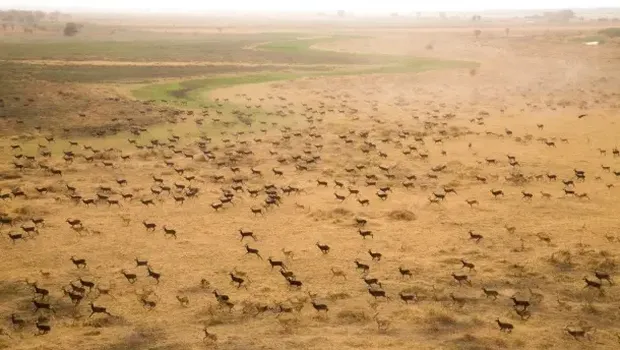Boma-Badingilo Migratory Landscape, Sudan