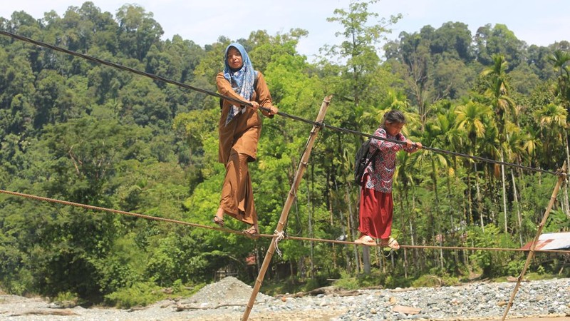 Guru dan siswa melintasi jembatan tali baja penghubung Dusun Sarah Sare dan Dusun Durian saat pulang sekolah di Desa Sikundo, Kecamatan Pante Ceureumen, Aceh Barat, Aceh, Senin (20/7/2026). Guru dan siswa di kawasan itu terpaksa menggunakan jembatan tali baja untuk berangkat dan pulang sekolah pasca rusaknya jembatan gantung penghubung antar dusun pada akhir November 2025 lalu. ANTARA FOTO/Syifa Yulinnas/nz.
