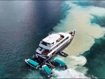 Terumbu Karang Maratua Rusak gegara Kapal Kandas, Butuh Puluhan Tahun untuk Pulih