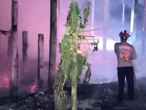 Kandang Ayam di Tulungagung Kebakaran, 3.100 Ayam Terpanggang