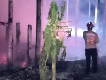 Kandang Ayam di Kedungwaru Tulungagung Terbakar, 3.100 Ayam Terpanggang