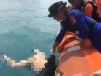 Geger Mayat Pria Mengapung di Perairan Bakauheni, Kepala Tinggal Tengkorak