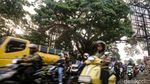 Melihat Pohon Jubleg yang Melegenda di Parung Bogor