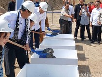 Mentan Janji Permudah Izin Peternakan demi Swasembada Susu: Cukup Lewat WA