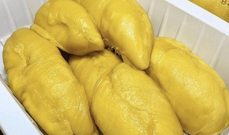 Musang King