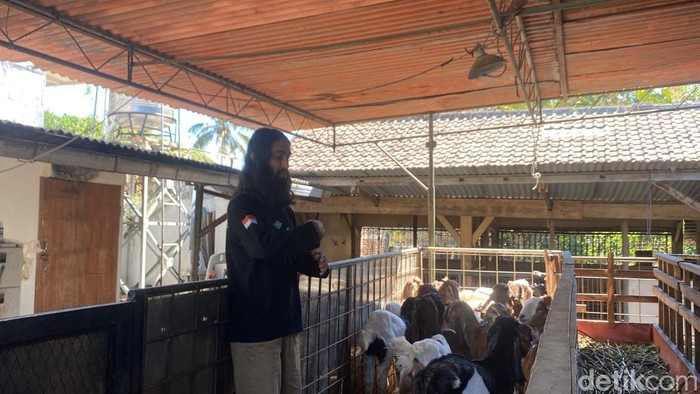 Pedagang kambing di Kota Batu yang dianggap mirip dengan visualisasi Yesus.