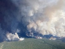 Penampakan Kebakaran Hutan Kanada yang Picu Kabut Asap di AS