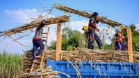 Selain mempercepat peremajaan tanaman tebu, pemerintah juga mendorong optimalisasi lahan tebu melalui intensifikasi dan ekstensifikasi areal tanam, perbaikan sistem irigasi, serta peningkatan efisiensi pabrik gula. Langkah tersebut diharapkan mampu meningkatkan produksi gula nasional, mengurangi ketergantungan impor, dan memperkuat ketahanan pangan nasional sesuai target swasembada gula yang dicanangkan pemerintah. Foto: ANTARA FOTO/Muhammad Mada