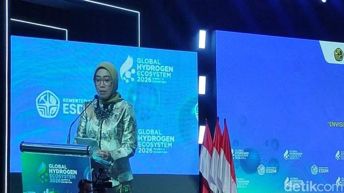 Direktur Jenderal Energi Baru, Terbarukan, dan Konservasi Energi (EBTKE) Kementerian ESDM, Eniya Listiani Dewi