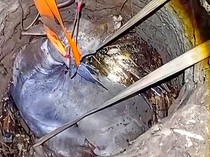 Teknik Tak Biasa demi Selamatkan Sapi 500 Kilogram Terjebak di Sumur