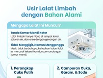 Kemunculan Lalat Limbah Bisa Jadi Tanda Kamar Mandi Kotor, Ini Cara Basminya