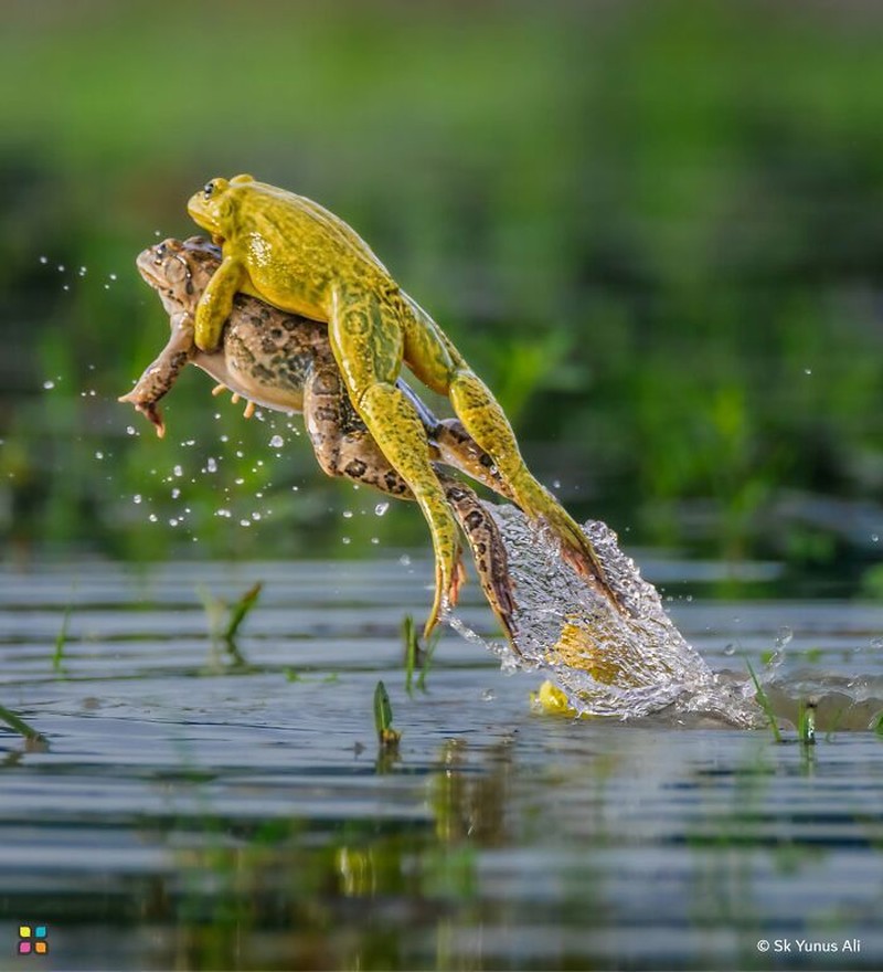 Jawara Hamdan International Photography Award (HIPA)
