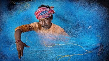 Karya Pranab Basak. Seorang nelayan memeriksa jaring nilon biru besar sebelum berangkat ke laut. Jaring ikan modern umumnya terbuat dari serat sintetis yang kuat seperti nilon, yang dihargai karena daya tahan, fleksibilitas, dan ketahanannya terhadap beban berat. Bahan-bahan ini membantu menjaga bentuk jaring sekaligus meningkatkan efisiensi penangkapan ikan selama perjalanan panjang. Dengan perawatan yang tepat, jaring nilon dapat bertahan selama beberapa tahun dalam kondisi laut yang keras. Foto ini menyoroti persiapan yang cermat dan tenaga kerja terampil yang mendukung kehidupan sehari-hari di komunitas nelayan pesisir. Foto: HIPA