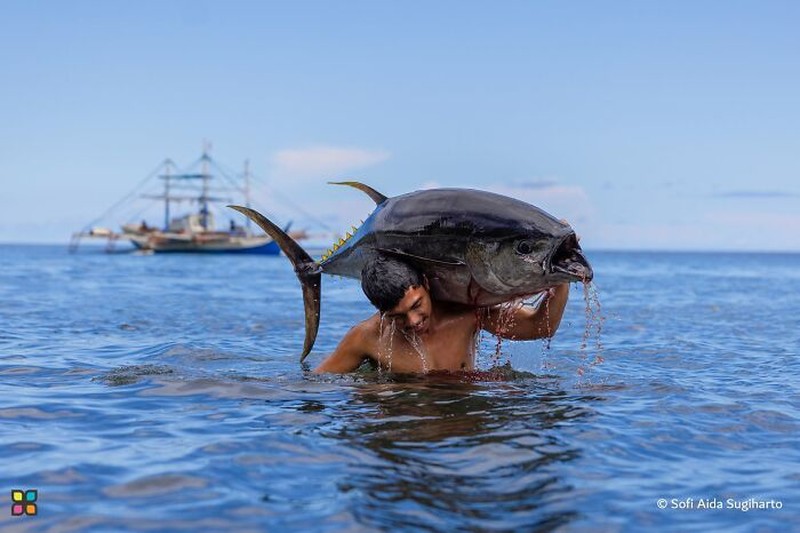 Jawara Hamdan International Photography Award (HIPA)