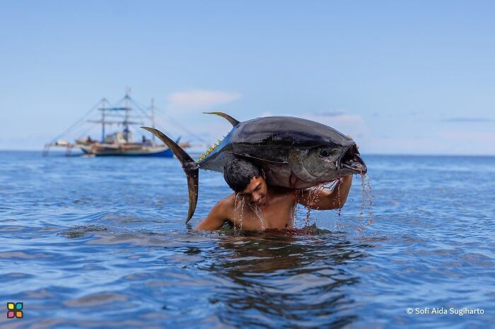 Foto-foto Terbaik HIPA yang Bikin Takjub, Ada dari Indonesia
