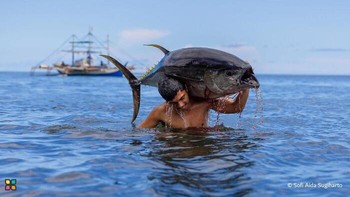 Karya Sofi Aida Sugiharto. Di Kepulauan Sangihe, seorang nelayan muncul dari Laut Celebes, seekor tuna sirip kuning berukuran besar tersampir di pundaknya. Tidak ada dermaga di sini, tidak ada papan kayu untuk menuntun langkahnya, hanya perairan terbuka, pasir dan bebatuan yang bergeser di bawah kakinya. Tubuh ikan yang berkilau seperti logam itu memantulkan darah dan air ke pasir sementara otot-otot pria itu menegang di bawah beban yang berat. Perahu-perahu tradisional tampak di cakrawala, kerangka kayunya tampak sebagai siluet di langit yang pucat, simbol kerja keras dan tradisi pelayaran penduduk setempat. Foto: HIPA