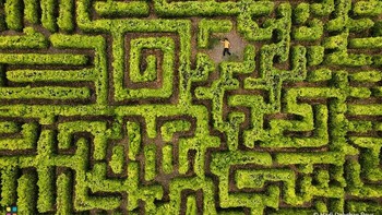 Karya Hadi Dehghan Pour. Di sebuah taman di Lahijan, Iran, terdapat Misteri Labirin, sebuah labirin hijau yang menantang pengunjung untuk menavigasi berbagai jalurnya. Awalnya dirancang oleh seorang lulusan geologi yang bersemangat untuk meningkatkan infrastruktur alami, labirin ini merupakan bagian dari koleksi yang lebih besar yang menampilkan beragam spesies tumbuhan dan burung. Taman ini juga mencakup lapangan olahraga, rumah kaca, pondok keluarga yang terbuat dari bahan alami, dan kolam renang, menciptakan lingkungan yang menarik bagi wisatawan dan pecinta alam. Foto: HIPA
