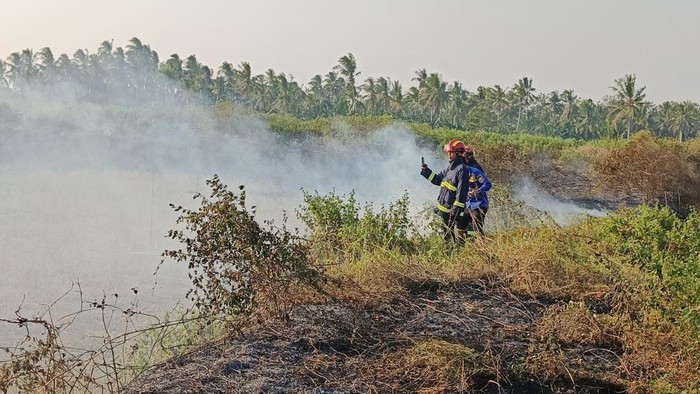 Karhutla di Lampung Selatan yang terjadi saat musim kemarau