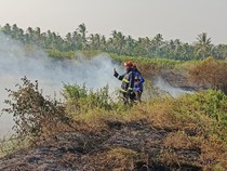 Masuk Musim Kemarau, Lampung Selatan Dilanda 59 Kasus Kebakaran