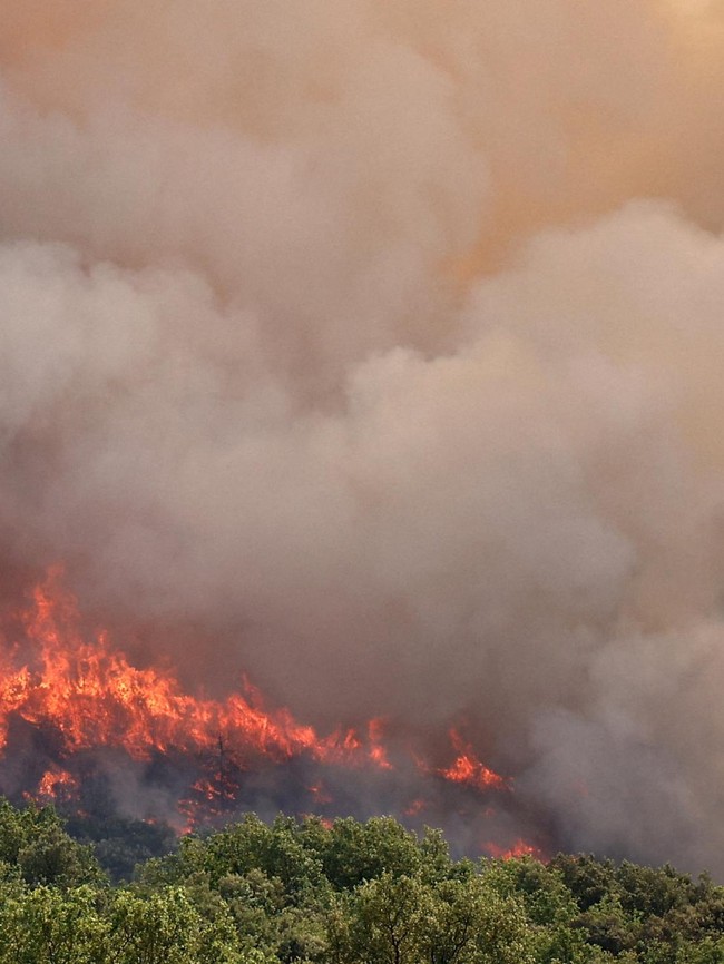 Kebakaran Hutan Meluas di Prancis saat Gelombang Panas dan Kekeringan Memburuk