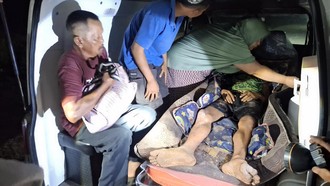 Pria di Siak Luka-luka Usai Diterkam Harimau saat Hendak Buang Air Besar