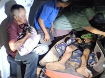 Pekerja Diterkam Harimau, Bupati Siak Lapor BBKSDA Riau-Beri Warning
