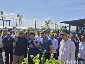 Pelabuhan Benoa Bakal Jadi Marina, Kapal Ikan Direlokasi demi Tampung 188 Yacht