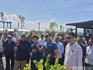 Pelabuhan Benoa Bakal Jadi Marina, Kapal Ikan Direlokasi demi Tampung 188 Yacht