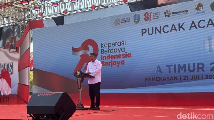 Menteri Koperasi (Menkop) Ferry Juliantono