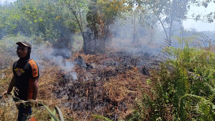 Kebakaran lahan di Desa Blang Luah, Aceh.